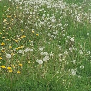 Meet your Posher, Claire